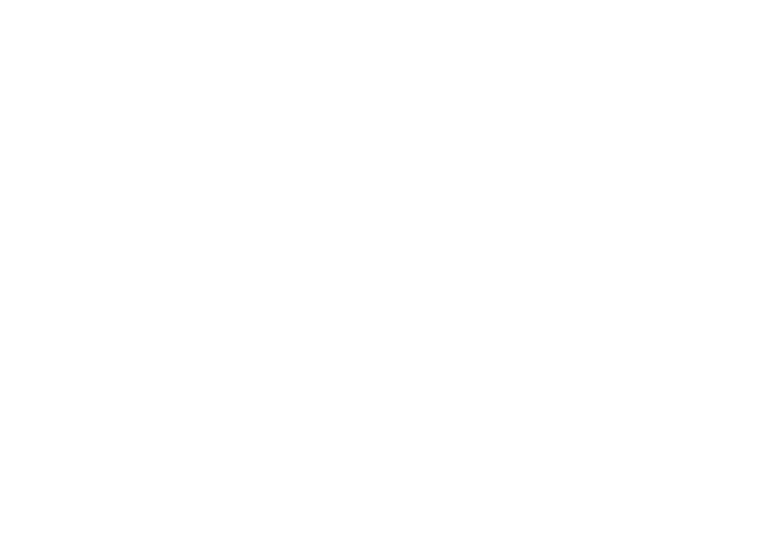bordalo